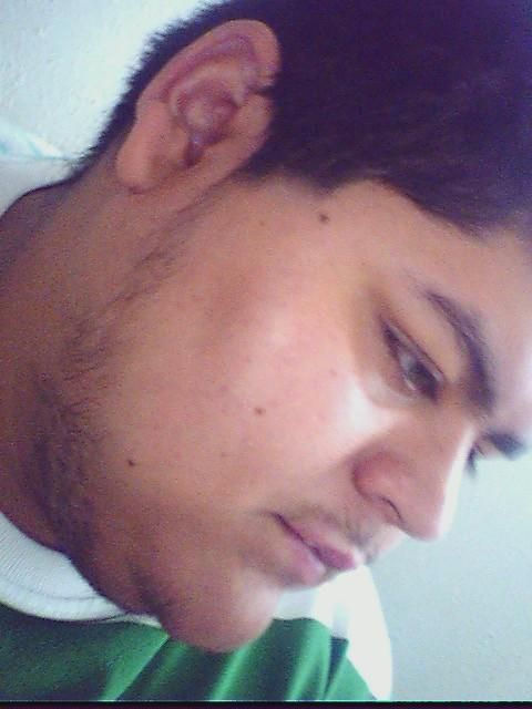 Molina High School. Moises E. Molina High School