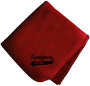 Springmore Elementary School  Blankets