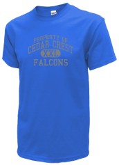 Find Cedar Crest High School Falcons Alumni, Plan Class Reunion, and