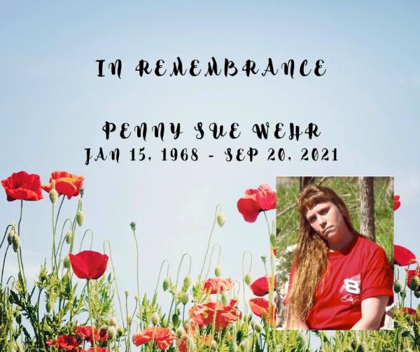 Penny Sue Wehr