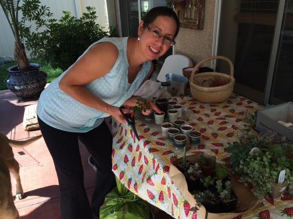 Melissa Quijas Ocasio