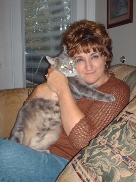 Kimberly Wilt Journell