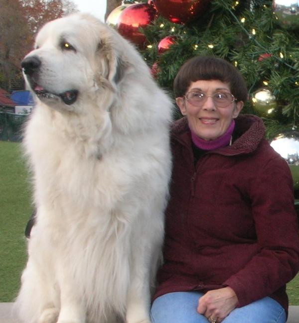 Donna Sheldrick Anderson