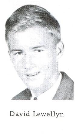 David Lewellyn