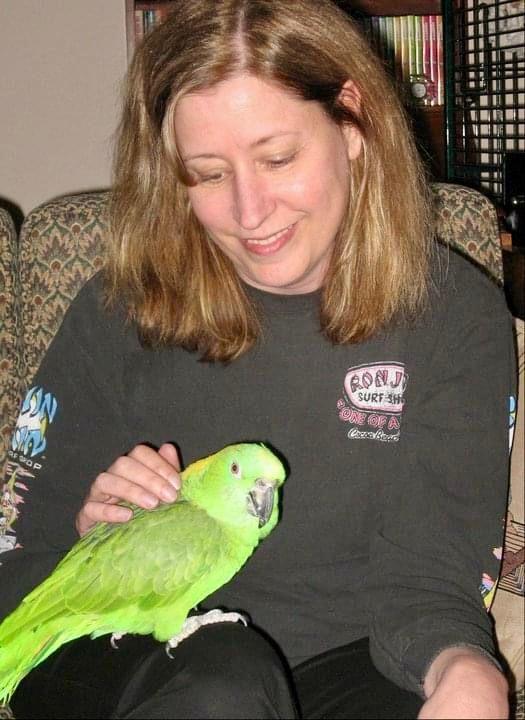 Annette Schmidlin Young