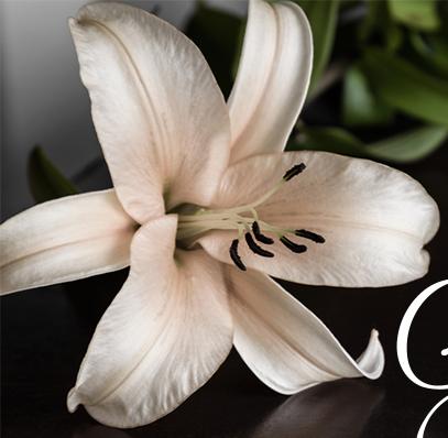 Margaret Cooperrider Jenkins