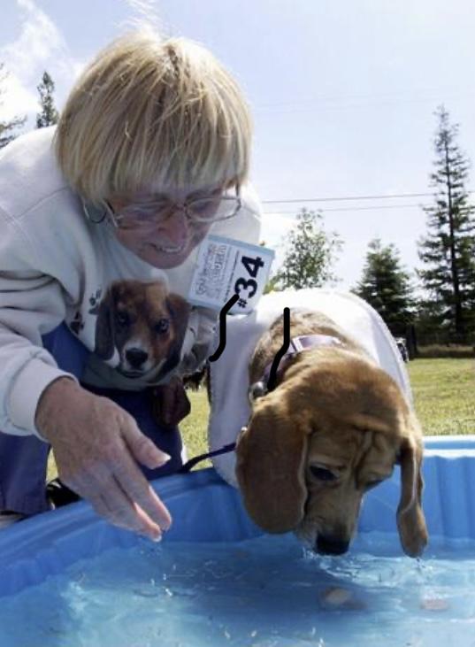 Susan Elizabeth Robertson Gillogly