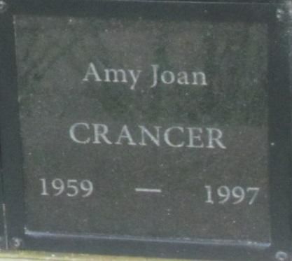 Amy J. Crancer