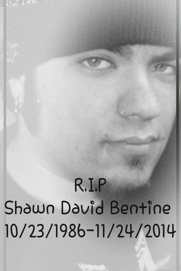 Shawn David Bentine-bongiorni