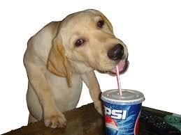 All The Fallen Gamers