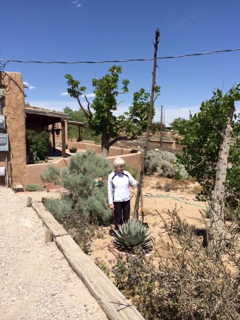 Nancy L. (dowell) Croxton