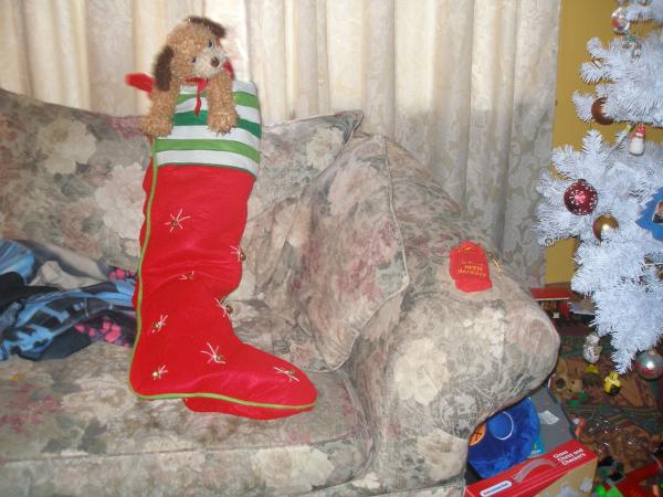 Cameron Matthew Brown