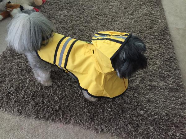 Dottie Cobie Devereaux