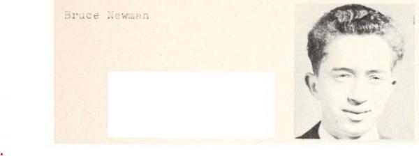 Bruce L. Newman